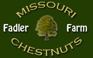 Missouri Chestnuts
